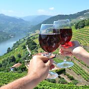 Douro Valley Wine & E-Bike Tour - Wine from Douro Valley!