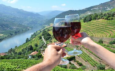 Douro Valley Wine & E-Bike Tour
