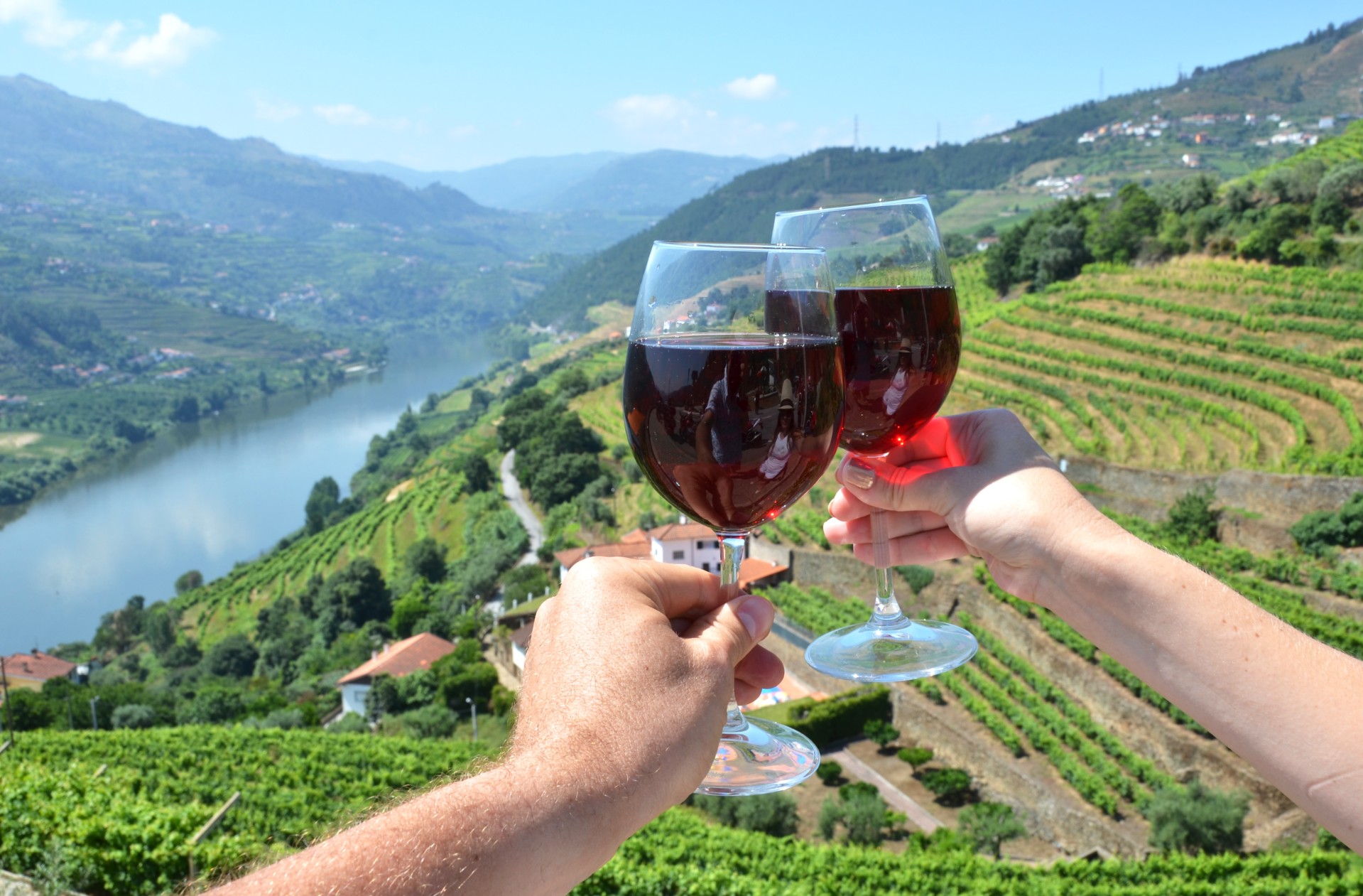 Douro Valley Wine E bike Tour Portugal Tripsite