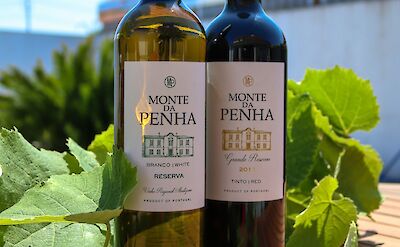 Portuguese wine. Unsplash@Bruno Ferreira