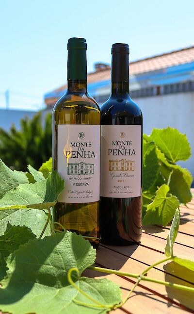 Portuguese wine. Unsplash@Bruno Ferreira