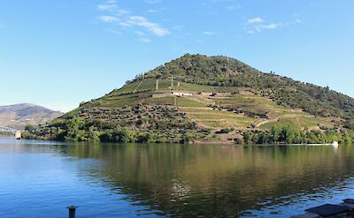 Vineyards on a hill in Pinh&atilde;o, Portugal. Unsplash@Rui Alves