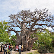 Bike and Safari South Africa featuring Kruger National Park Photo