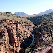 Passeio de bicicleta e safari na África do Sul Foto