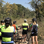 Passeio de bicicleta e safari na África do Sul Foto