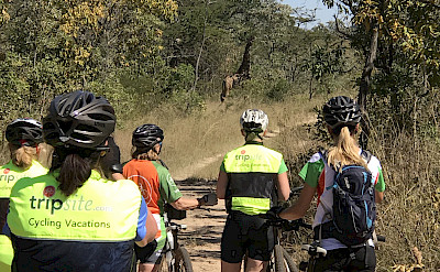 Hennie and crew biking through the private reserves.