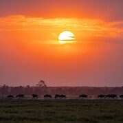 South Africa Kruger National Park Safari - Sunset in Kruger National Park, South Africa. Unsplash@Getty Images
