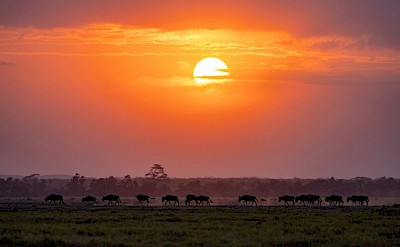 Sunset in Kruger National Park, South Africa. Unsplash@Getty Images