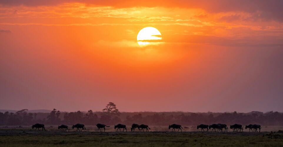 Sunset in Kruger National Park, South Africa. Unsplash@Getty Images