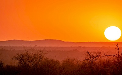 Sunset in Kruger National Park, South Africa. Unsplash@Maurice Gort