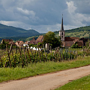 Alsace - Colmar and Osthouse Photo