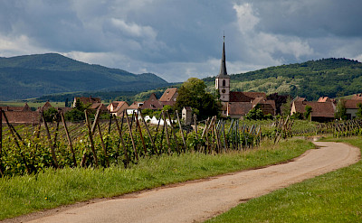 Biking towards Mittelbergheim, Alsace, France. Flickr:Allan Harris