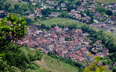 Ribeauville, Alsace, France. Flickr:Allan Harris