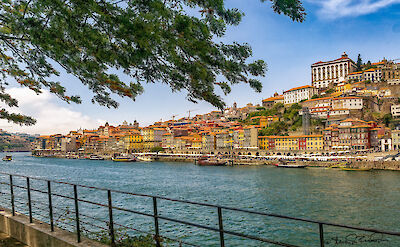 Douro River in Porto, Portugal. Flickr:Steven dosRemedios