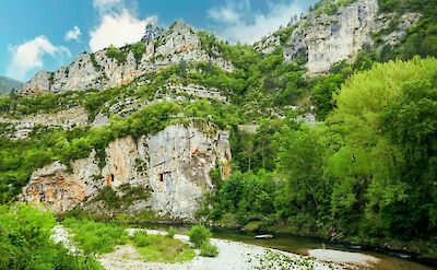 Flourishing greenery in the Gorges du Tarn Causses, France. Unsplash:Alexis Ribeyre