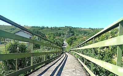 Green bridge in Albi, France. Unsplash:Thomas Bnt