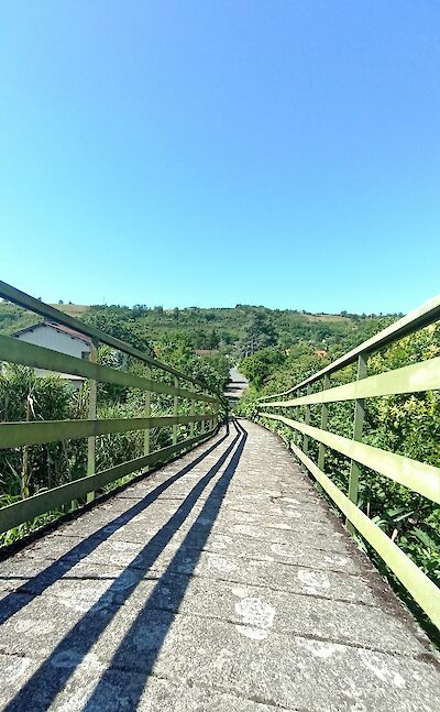 Green bridge in Albi, France. Unsplash:Thomas Bnt