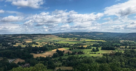 Green fields of Cordes-sur-Ciel, France. Unsplash:Mathieu Turle