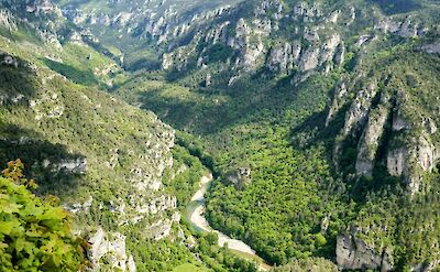 Green valley of Gorges du Tarn Causses, France. Unsplash:Alexis Ribeyre