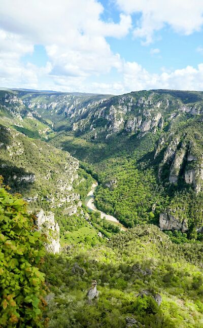 Green valley of Gorges du Tarn Causses, France. Unsplash:Alexis Ribeyre