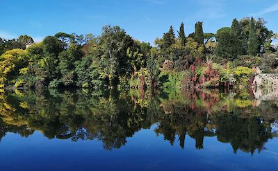 Reflections of trees in the river, Albi, France. Unsplash:Jerome Sandor Almasi