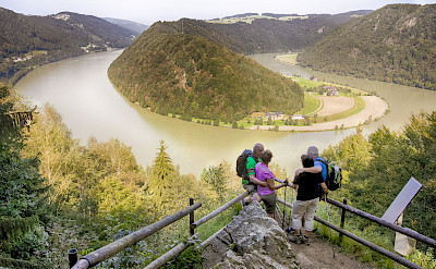 The famous Danube loop Schlögen in the Wachau Valley, a UNESCO World Heritage Site.