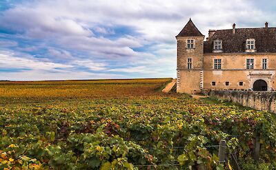 Chateau with vineyards in the autumn season, Burgundy, France. Photo via AS