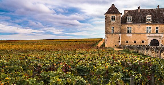 Chateau with vineyards in the autumn season, Burgundy, France.  Photo via AS