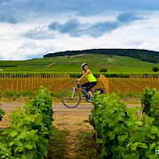 Best of Burgundy Photo