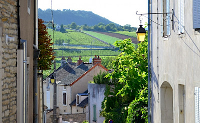 Biking Burgundy, France.