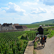 Best of Burgundy Photo