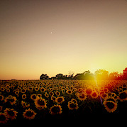 Best of Burgundy Photo