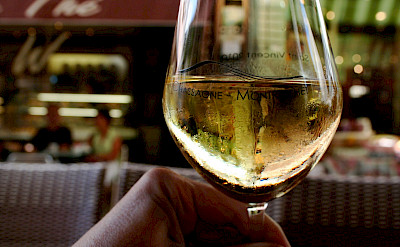 French Chardonnay from the Côte de Beaune region of Chassagne-Montrachet, Burgundy, France. Flickr:Megan Cole