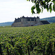Best of Burgundy Photo