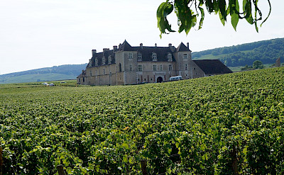 Château du Clos de Vougeot in Vougeot, department Côte-d'Or, Burgundy, France. Flickr:Pierre Andre Leclercq 