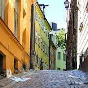 High Summer in Sweden Photo