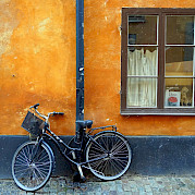 High Summer in Sweden Photo