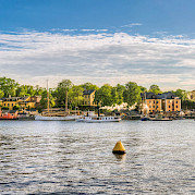 High Summer in Sweden Photo