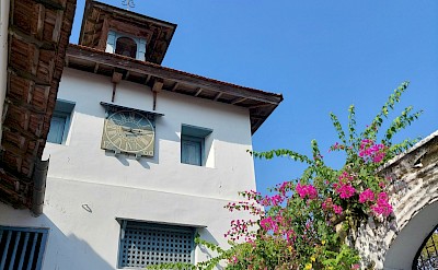 Blue skies and pink flowers on a bike tour in Kochi, India. Unsplash@Anish Mathew Jose