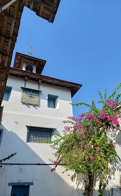 Blue skies and pink flowers on a bike tour in Kochi, India. Unsplash@Anish Mathew Jose