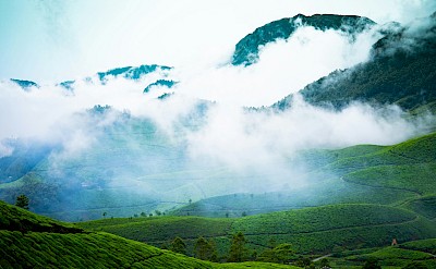 Clouds over Munnar, Kerala bike tour, India. Unsplash@Gigin Krishnan