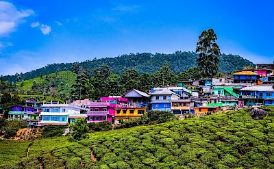 Colorful houses of Munnar, Kerala bike tour, India. Unsplash@Gaurav Kumar
