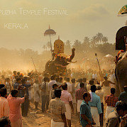 Exotic Kerala, India Photo