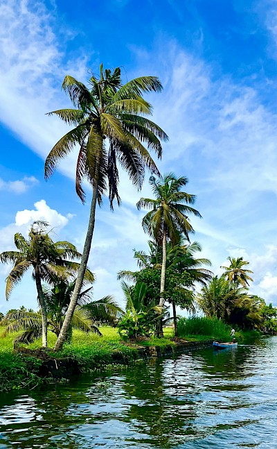 Palm trees along the river in Alleppey, Kerala bike tour, India. Unsplash@Sarthak Veggalam