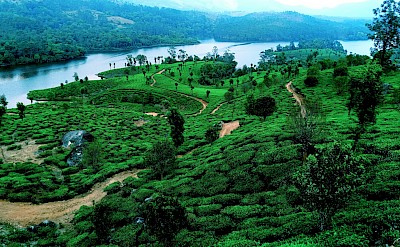 River flowing through Munnar, Kerala bike tour, India. Unsplash@Arnold Roy