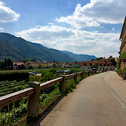Danube Bike Path- Regensburg to Vienna Photo