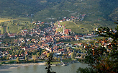 Wachau Region along the Danube in Austria. CC:Bauer Karl