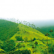 Bogota to Salento Photo