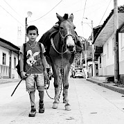 Bogota to Salento Photo