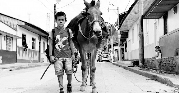 Boy & his donkey off to work in Salento, Quindío, Colombia. Flickr:Maria Grazia Montagnari